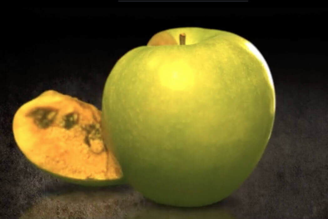 Film Profesyonelleri